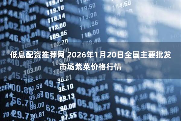 低息配资推荐网 2026年1月20日全国主要批发市场紫菜价格行情