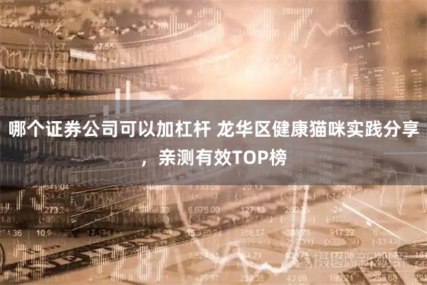 哪个证券公司可以加杠杆 龙华区健康猫咪实践分享，亲测有效TOP榜