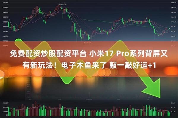 免费配资炒股配资平台 小米17 Pro系列背屏又有新玩法！电子木鱼来了 敲一敲好运+1