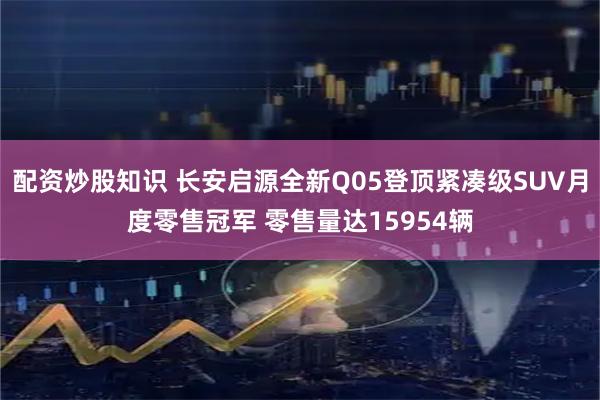 配资炒股知识 长安启源全新Q05登顶紧凑级SUV月度零售冠军 零售量达15954辆